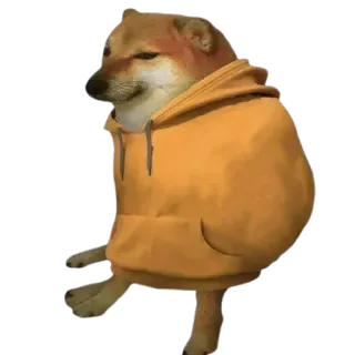😎 Cheems Doge meme cheems, doge, shiba inu, hoodie, dog, meme, funny, animal telegram sticker