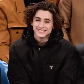 📯 Timothée Chalamet acteur, célébrité, Timothée Chalamet, sourire, portrait telegram sticker