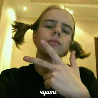 ✌️ чуцть человек, мальчик, волосы, портрет telegram sticker