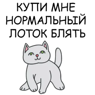 Cats Day @stickersb2b telegram stickers
