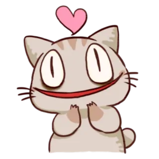❤️ gato, coração, fofo, animal, adesivo, amor telegram sticker