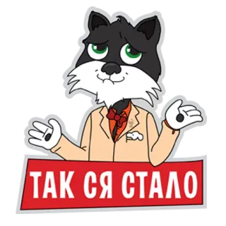 😬 ТАК СЯ СТАЛО gato, desenho animado, adesivo, russo, texto, engraçado telegram sticker