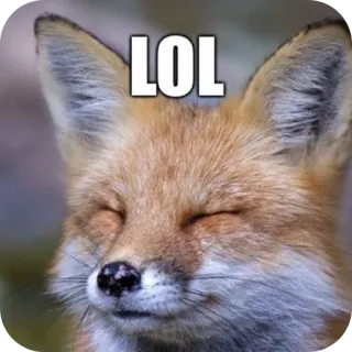 🤣 LOL telegram sticker
