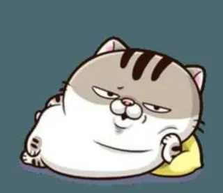 🤓 Katze, Cartoon, Tier, Niedlich, Sticker telegram sticker
