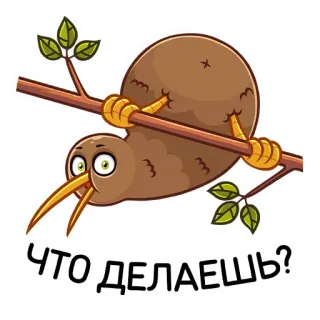 🙃 ЧТО ДЕЛАЕШЬ? burung kiwi, burung, stiker, rusia, cabang telegram sticker