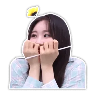 🤭 telegram sticker