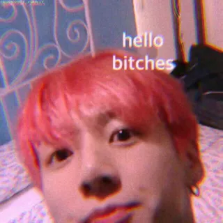 🦋 hello bitches hola, ofensivo, divertido, meme telegram sticker