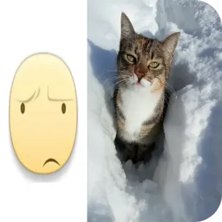 🐱 chat, neige, triste, emoji telegram sticker