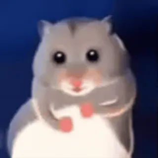 💃 Hamster telegram sticker