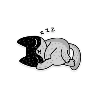 😔 ZZZ 고양이, 자는, zzz, 만화, 동물, 귀여운 telegram sticker
