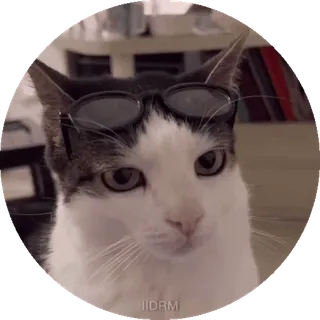 Больше стиков тут: @stikery4 whatsapp stickers