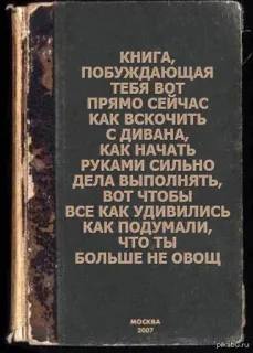📙 КНИГА, ПОБУЖДАЮЩАЯ ТЕБЯ ВОТ ПРЯМО СЕЙЧАС КАК ВСКОЧИТЬ С ДИВАНА, КАК НАЧАТЬ РУКАМИ СИЛЬНО ДЕЛА ВЫПОЛНЯТЬ, ВОТ ЧТОБЫ ВСЕ КАК УДИВИЛИСЬ КАК ПОДУМАЛИ, Что ты БОЛЬШЕ НЕ ОВОЩ
МОСКВА
2007
pikabo.ru book, russian, text, motivational, inspiration telegram sticker
