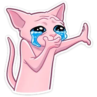 😭 Katze, weinend, Meme, traurig, Sphynx, nacktkatze, enttäuscht telegram sticker