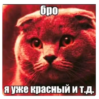 Больше стиков тут: @stikery4 telegram stickers