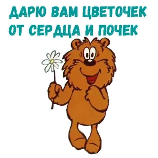😫 ДАРЮ ВАМ ЦВЕТОЧЕК
ОТ СЕРДЦА И ПОЧЕК urso, flor, desenho animado, presente, coração, amor, fofo telegram sticker