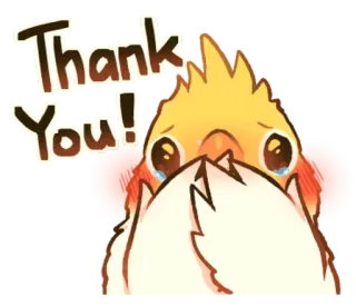 😊 Thank You! merci, mignon, oiseau, salutation whatsapp sticker