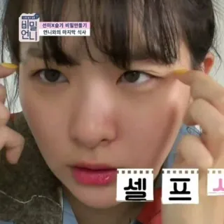 💘 선미X슬기 비밀만들기 언니와의 마지막 식사 telegram sticker