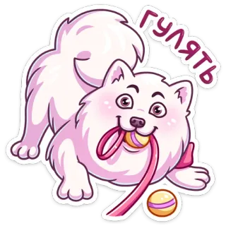 Самми :: @stickroom telegram stickers