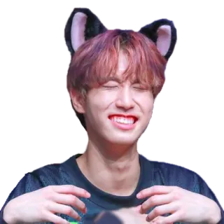 😂 orejas de gato, persona, lindo, gracioso, kpop whatsapp sticker