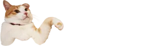🤗 cat, pet, animal, cute, funny telegram sticker