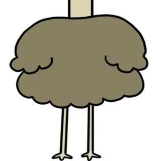 ⚪️ autruche, oiseau, animal, dessin animé, simple, illustration whatsapp sticker
