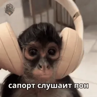 500р за клик -> @freeirbonus telegram stickers