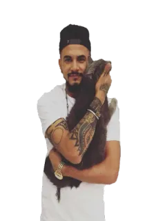 🐾 whatsapp sticker