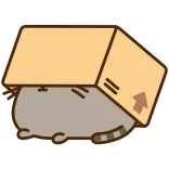 📦