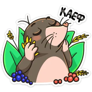 😯 КАЕФ モグラ, 動物, かわいい, 自然, 葉, ベリー telegram sticker
