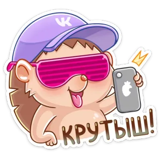 😎 КРУТЫШ! hedgehog, selfie, sunglasses, cool, animal whatsapp sticker