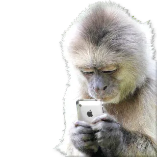 🐒 Affe, iPhone, Tier, Handy, Technologie whatsapp sticker