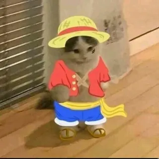 🌊 Monkey D. Luffy One Piece Anime, Katze, Ruffy, One Piece, Pirat telegram sticker
