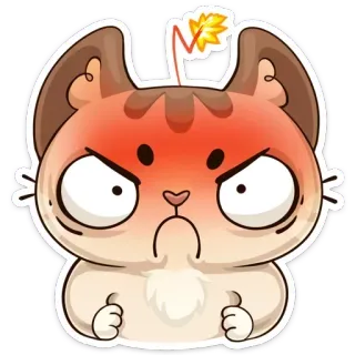 😮 고양이, 화난, 격분한, 불쾌한, 만화, 스티커, 이모티콘, 표정 telegram sticker
