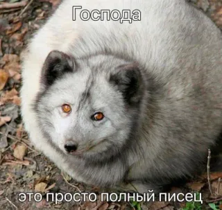 Больше стиков тут: @stikery4 whatsapp stickers