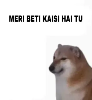🤔 Cheems Doge meme MERI BETI KAISI HAI TU telegram sticker