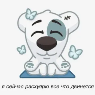 🔥 я сейчас расхуярю все что двинется animal, dog, butterfly, sitting, meditation telegram sticker