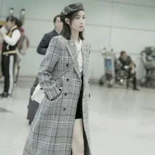 🎐 mulher, casaco, boina, moda, estilo, xadrez, aeroporto telegram sticker