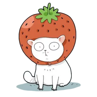 🍓 gato, morango, animal, fofo, desenho animado, fruta, adesivo whatsapp sticker