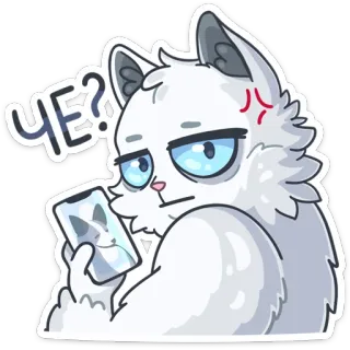😰 ЧЕ? cat, meme, sticker, cute, angry telegram sticker