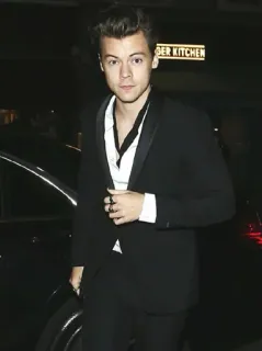 💶 Harry Styles Harry Styles, chanteur, costume, mode, célébrité, portrait telegram sticker