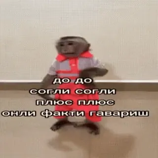 🐵 до до
согли согли
плюс плюс
онли факти гавариш mono, bailando, lindo, divertido, ruso, meme whatsapp sticker