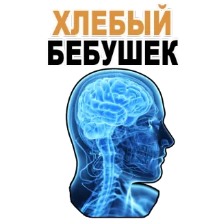 😊 Хлебный Бебушек brain, head, anatomy, russian text telegram sticker
