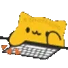 ⌨️