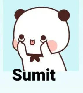 🤓 Sumit süß, Panda, Aufkleber, Cartoon, lustig, Tier, Name telegram sticker