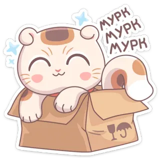 ☺️ МУРК МУРК МУРК кот, мультфильм, коробка, милый, животное, наклейка whatsapp sticker