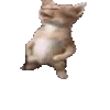🤪