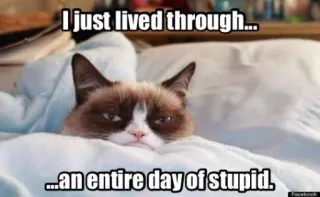 🤪 Grumpy Cat I just lived through...
...an entire day of stupid. 暴躁猫, 猫, 表情包, 搞笑, 网络迷因 whatsapp sticker