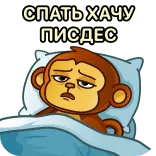 🥱 СПАТЬ ХАЧУ
ПИЗДЕС slaperig, moe, aap, bed, cartoon, russisch telegram sticker