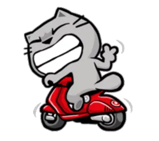 ✌ Katze, Roller, Tier, Motorrad, Cartoon telegram sticker