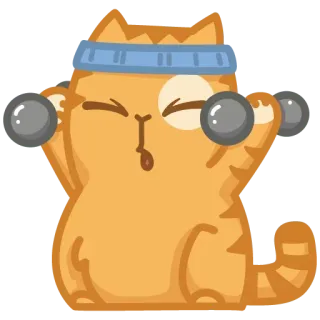 💪 кот, упражнения, тяжелая атлетика, фитнес, гантель, мультфильм, милый, животное telegram sticker
